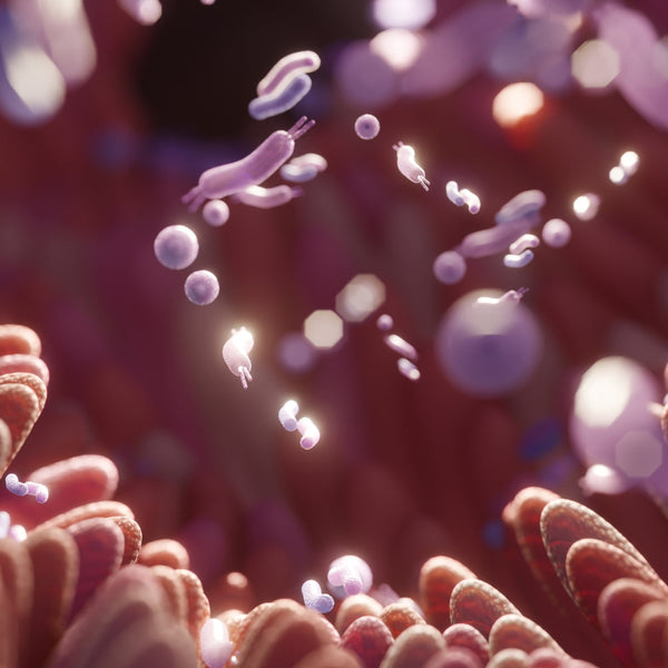 How Does the Microbiome Make You Healthy?