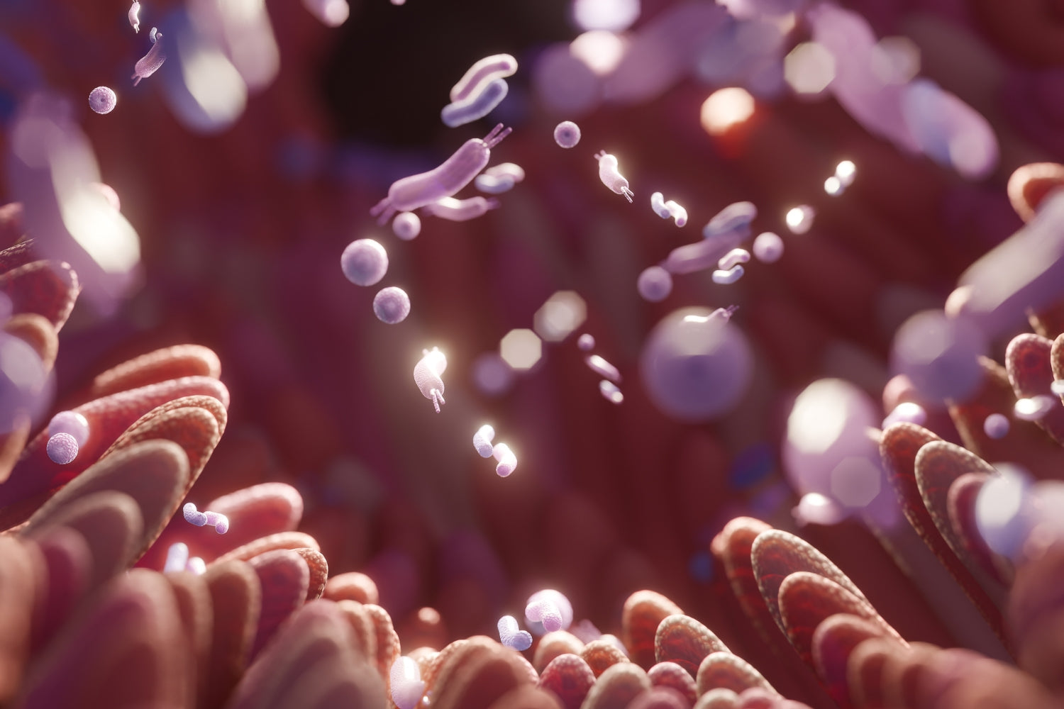 How Does the Microbiome Make You Healthy?